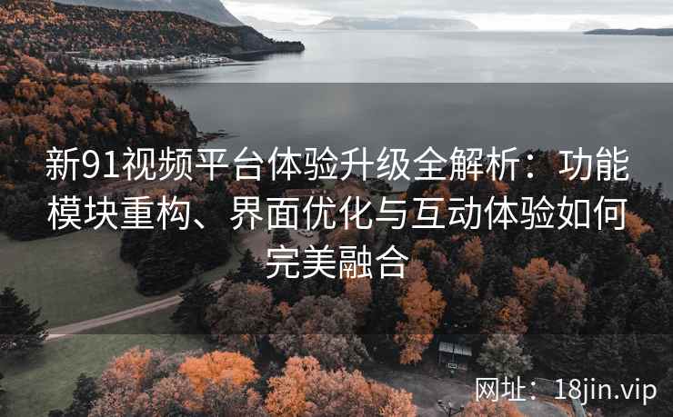 新91视频平台体验升级全解析：功能模块重构、界面优化与互动体验如何完美融合